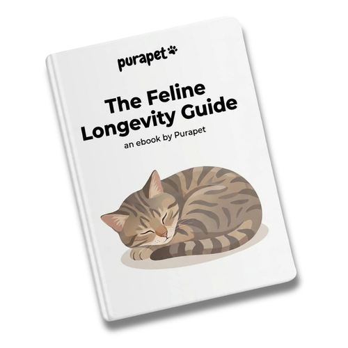 The Feline Longevity Guide