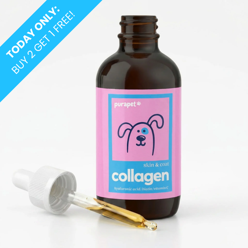 Purapet™ Collagen