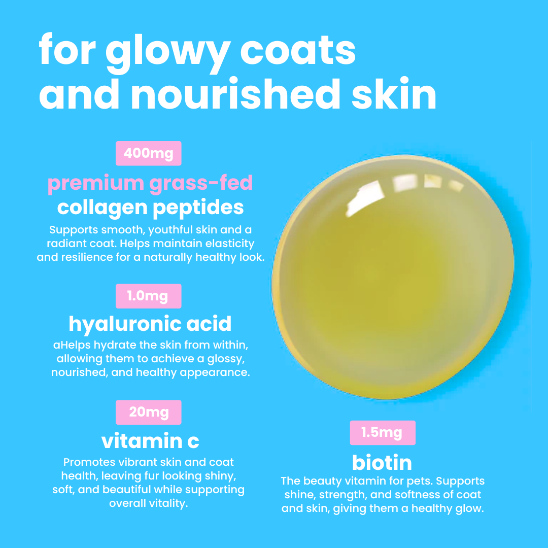 Purapet™ Collagen