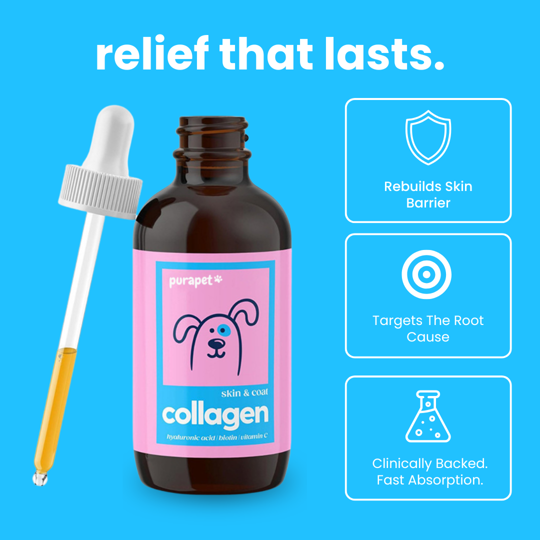 Purapet™ Collagen