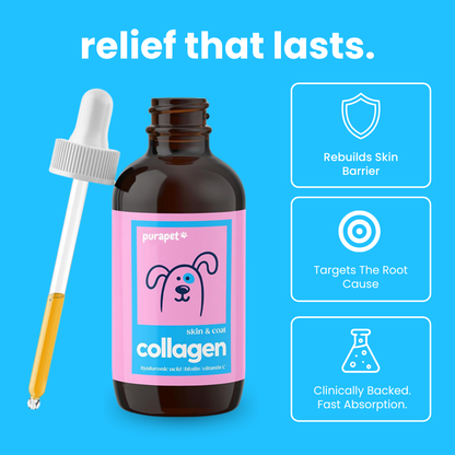 Purapet™ Collagen