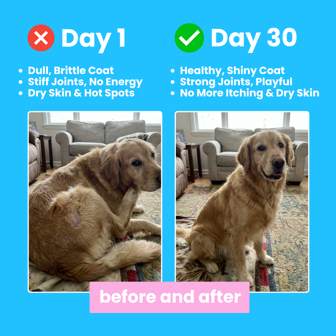 Purapet™ Collagen